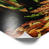 Impression Photo Bois d'automne (Coin)