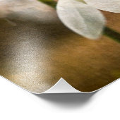 Impression Photo Bois de Snowdrop (Coin)