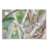 Impression Photo Bois sec (Devant)