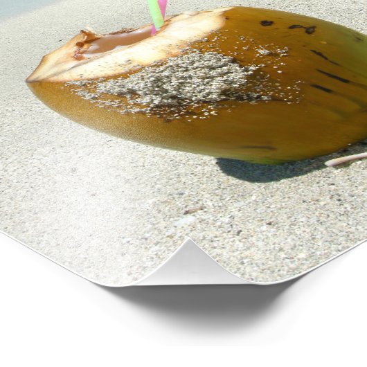 Impression Photo Boisson de coco sur la plage tropicale avec palmie (Coin)