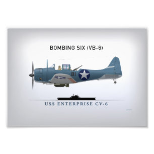 Impression Photo Bombardier de piqué courageux de SBD du bombardie