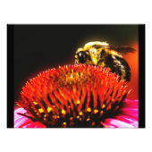 Impression Photo Bombe (Devant)