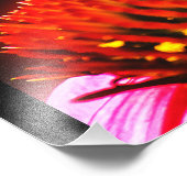 Impression Photo Bombe (Coin)