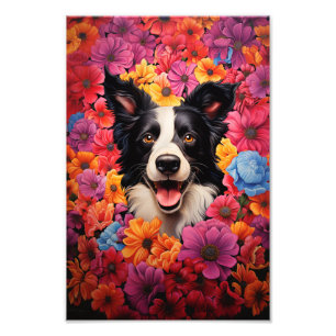 Impression Photo Bordure Collie en fleurs