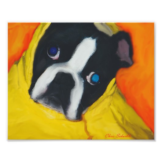 Impression Photo Boston Terrier dans un manteau de pluie jaune (Devant)