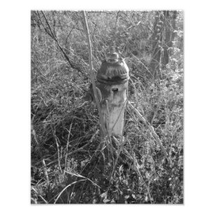 Impression Photo Bouche d'incendie vintage