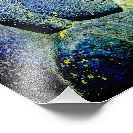 Impression Photo Bouddha (Coin)