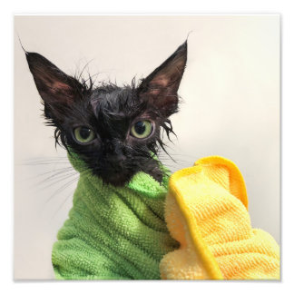 Impression Photo Boue, après le bain