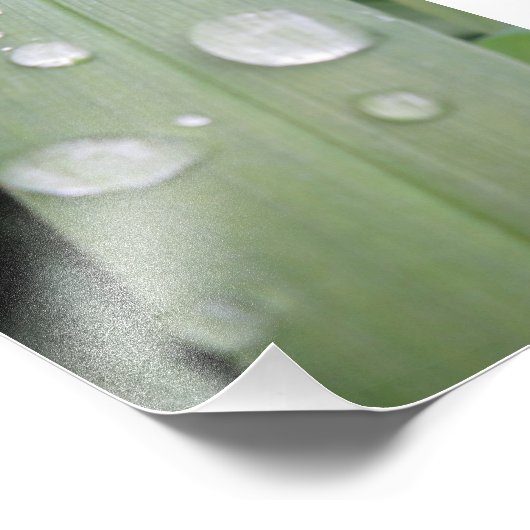 Impression Photo Boues d'eau (Coin)