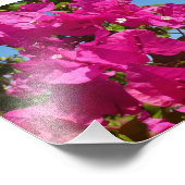 Impression Photo Bougainvilliers et palmiers paysage tropical (Coin)