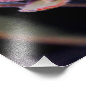 Impression Photo Boule de fleurs (Coin)