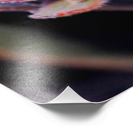 Impression Photo Boule de fleurs (Coin)