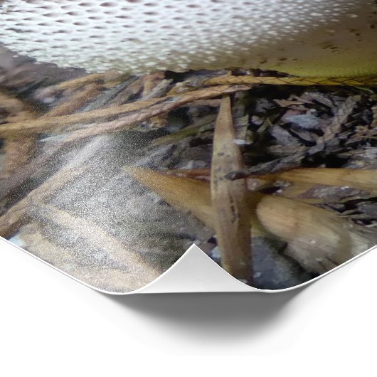 Impression Photo Boule de Puffée Aux Gem (Coin)