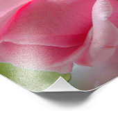 Impression Photo Boule rose rose avec collier de perle (Coin)