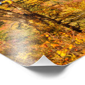 Impression Photo Bouleau d'automne (Coin)