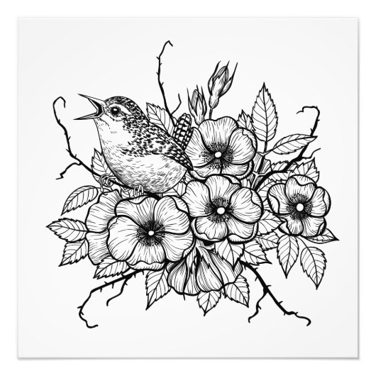 Impression Photo Bouquet Wren (Devant)