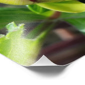 Impression Photo bourgeon d'automne (Coin)