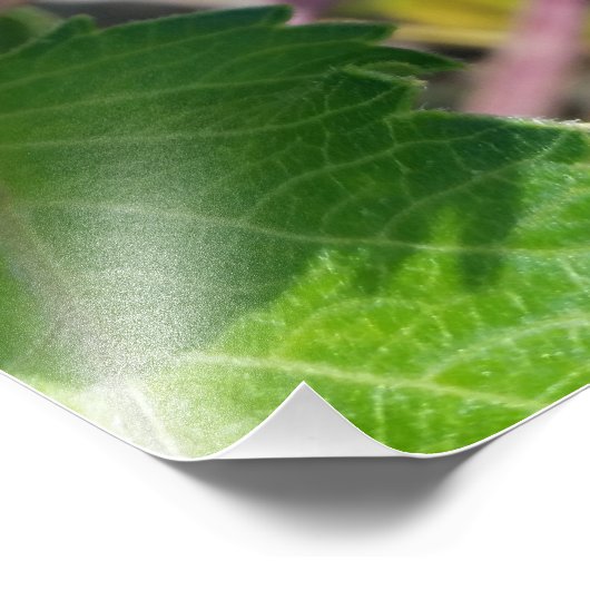 Impression Photo bourgeon en automne (Coin)