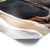 Impression Photo Boutons de vache (Coin)