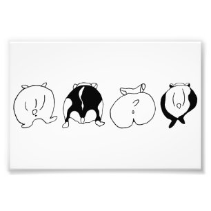 Impression Photo Boutons Hamster