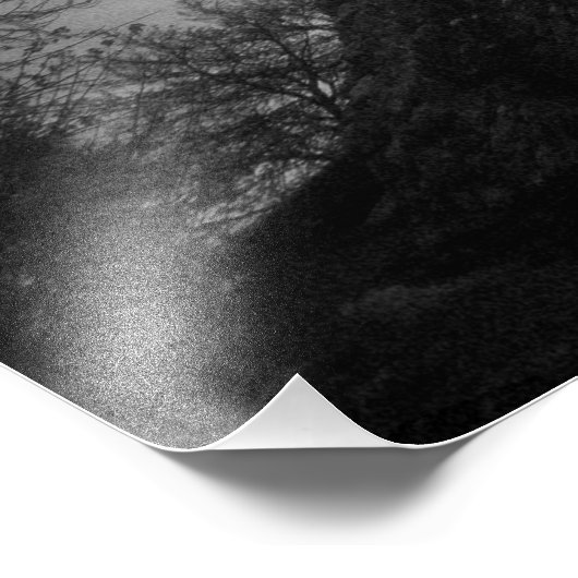 Impression Photo Bran Castle (Dracula) (Coin)