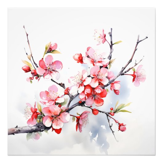 Impression Photo Branche de cerise en fleurs (Devant)