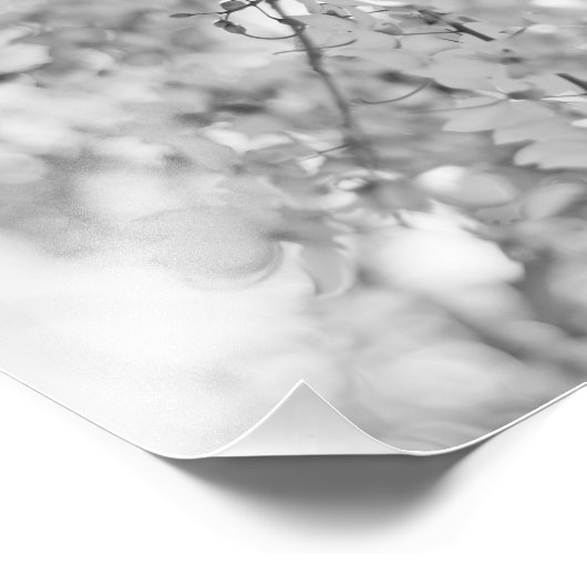 Impression Photo Branche de fleurs noires et blanches (Coin)