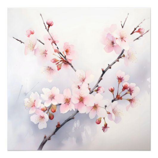 Impression Photo Branche de floraison Sakura (Devant)
