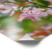 Impression Photo Branche délicate avec fleurs pommier (Coin)
