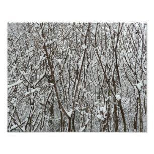 Impression Photo Branches couvertes de neige Abstraite hivernale