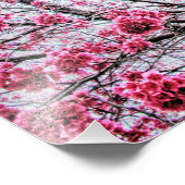 Impression Photo Branches et fleurs d'un cerisier (Coin)