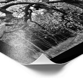Impression Photo Branches Mystérieuses (Coin)