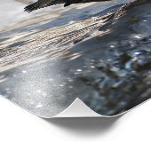 Impression Photo Brave American Dipper (Coin)