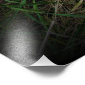 Impression Photo "Break Free" (Coin)