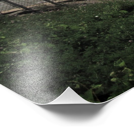 Impression photo "Bridge to Dimension Zed" (Coin)