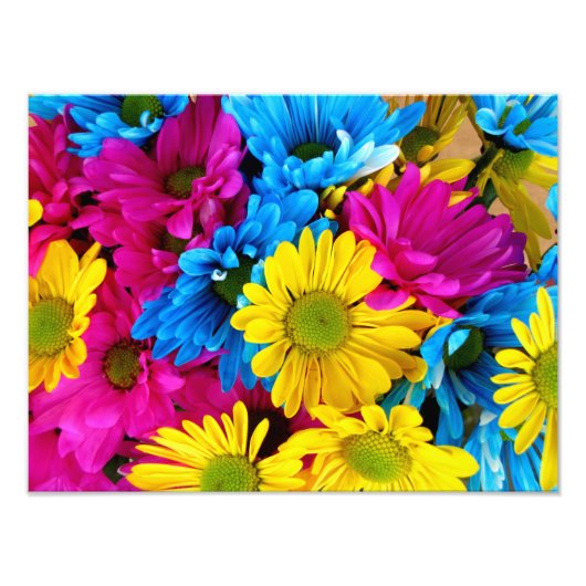 Impression Photo Bright Colorful Daisers (Devant)