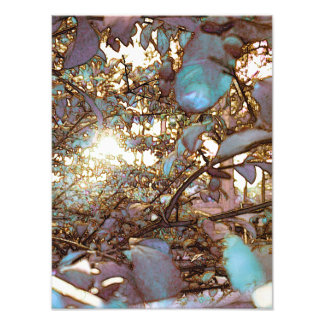 Impression Photo Brise de lumière
