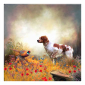 Impression Photo Brittany Espagne (Devant)