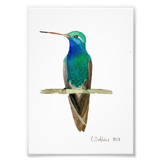 Impression Photo Broad-billed Hummingbird (Devant)