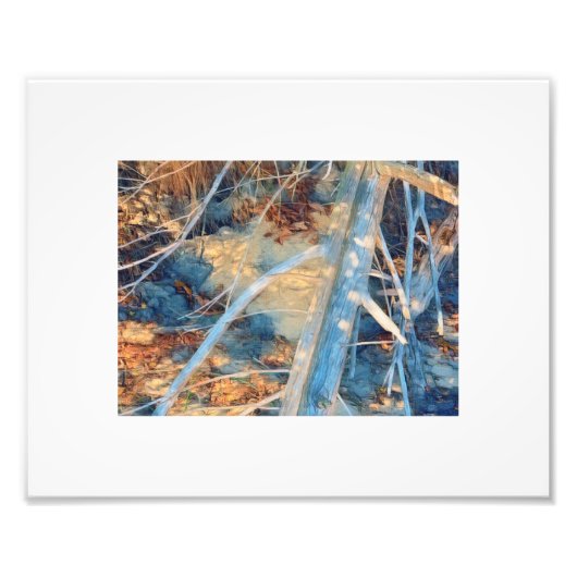 Impression Photo Brosse de bord rustique blanchie au soleil (Devant)