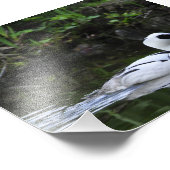 Impression Photo Brouillard noir et blanc ou plongée dans la mer Br (Coin)