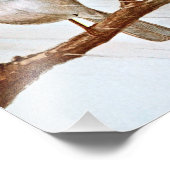 Impression Photo Bruant à projection blanche (Coin)