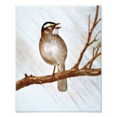 Impression Photo Bruant à projection blanche (Devant)