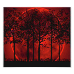 Impression Photo Brûler du rouge...