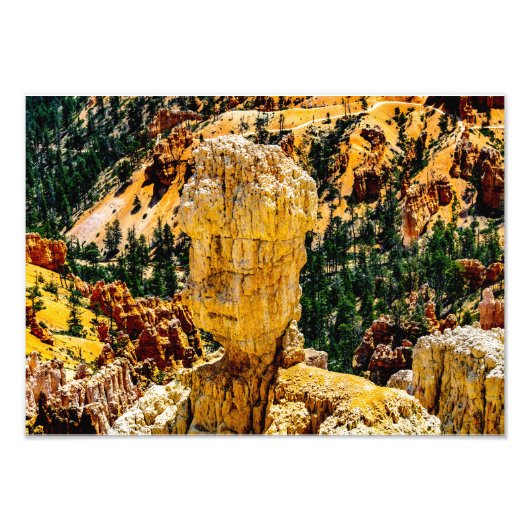 Impression Photo Bryce Canyon Robot Man (Devant)