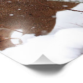 Impression Photo Buck de cerfs en neige en hiver (Coin)