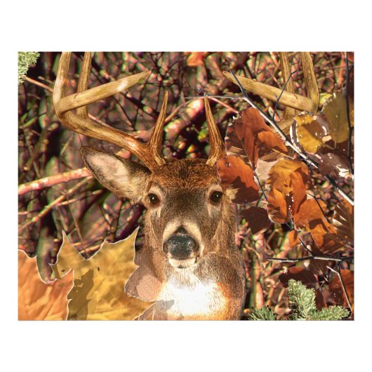 Impression Photo Buck in Camouflage White Tail Deer (Devant)