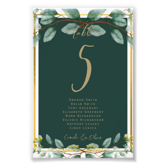 Impression Photo BUDGET Numéro de tableau Siège Verdure Eucalyptus (Devant)