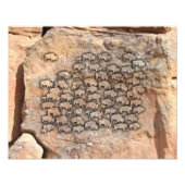 Impression Photo Buffalo (Devant)