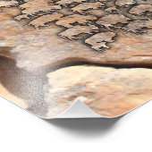 Impression Photo Buffalo (Coin)